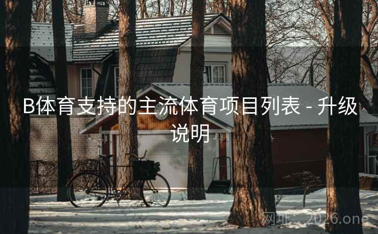 B体育支持的主流体育项目列表 - 升级说明