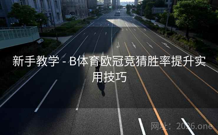 新手教学 - B体育欧冠竞猜胜率提升实用技巧