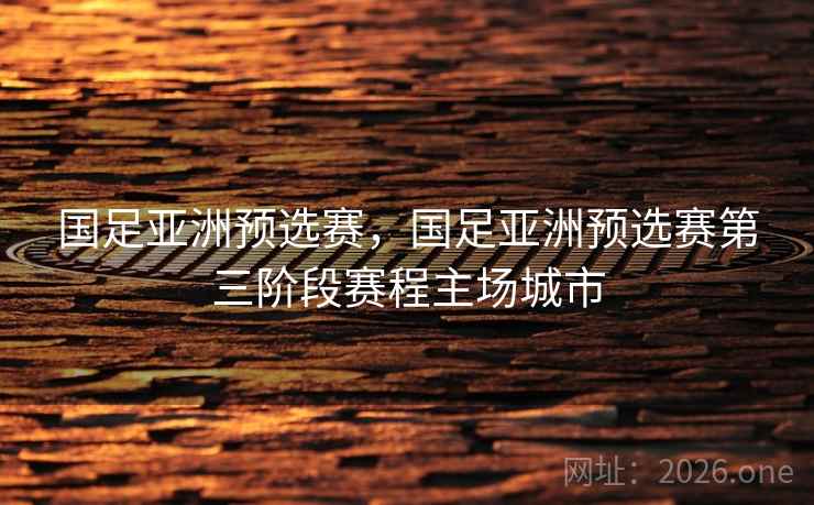 国足亚洲预选赛，国足亚洲预选赛第三阶段赛程主场城市