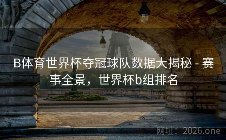 B体育世界杯夺冠球队数据大揭秘 - 赛事全景，世界杯b组排名