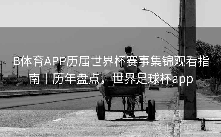 B体育APP历届世界杯赛事集锦观看指南｜历年盘点，世界足球杯app