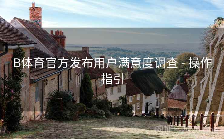 B体育官方发布用户满意度调查 - 操作指引