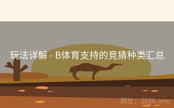 玩法详解 - B体育支持的竞猜种类汇总