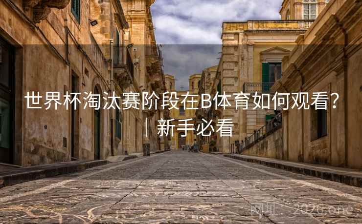 世界杯淘汰赛阶段在B体育如何观看？｜新手必看