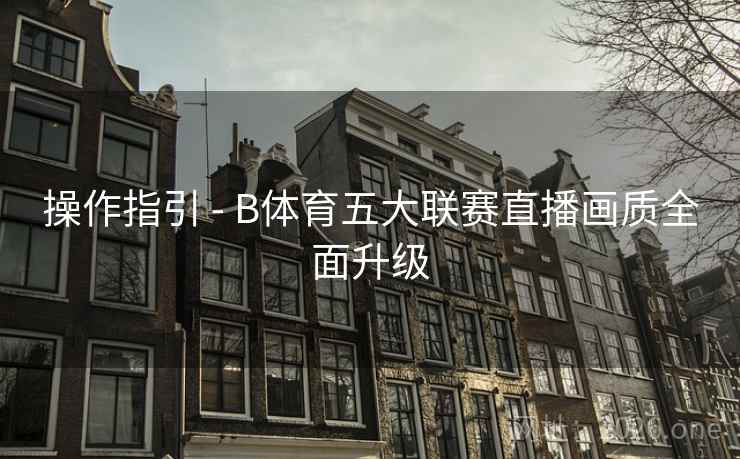 操作指引 - B体育五大联赛直播画质全面升级