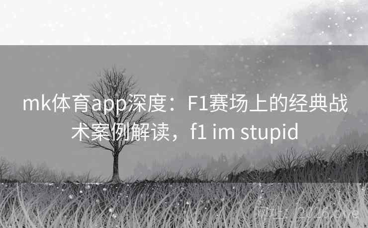 mk体育app深度：F1赛场上的经典战术案例解读，f1 im stupid